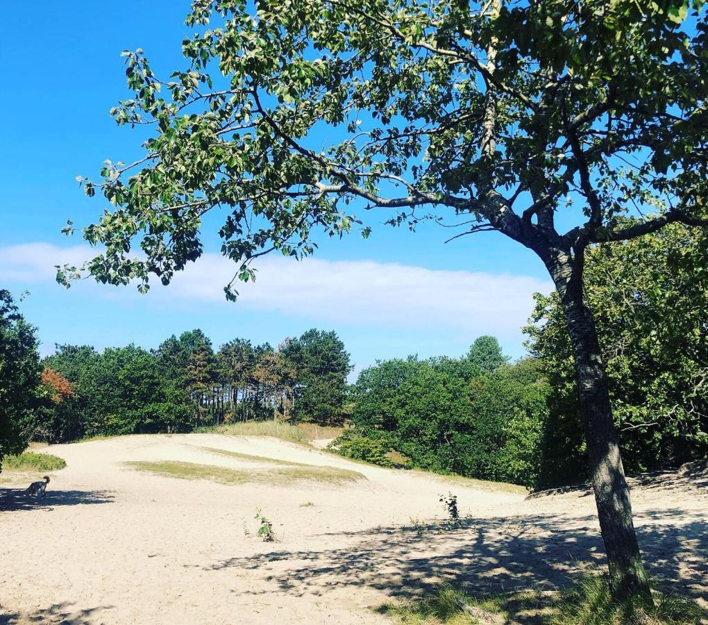 B&B Maison Verspyck Bergen aan Zee Ngoại thất bức ảnh